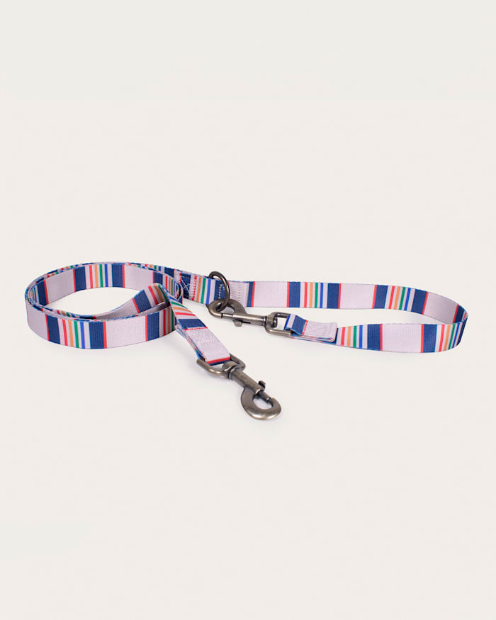 YELLOWSTONE NATIONAL PARK ADVENTURE LEASH